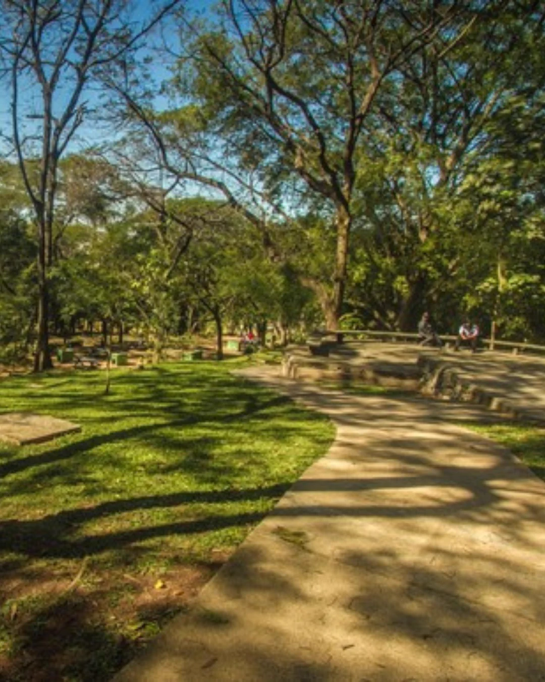 Parque São Domingos